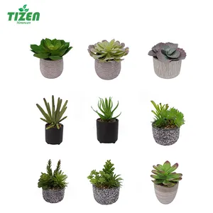 Tizen factory outlet piante artificiali in vaso di alta qualità di personalizzazione piante succulente artificiali per interni ed esterni