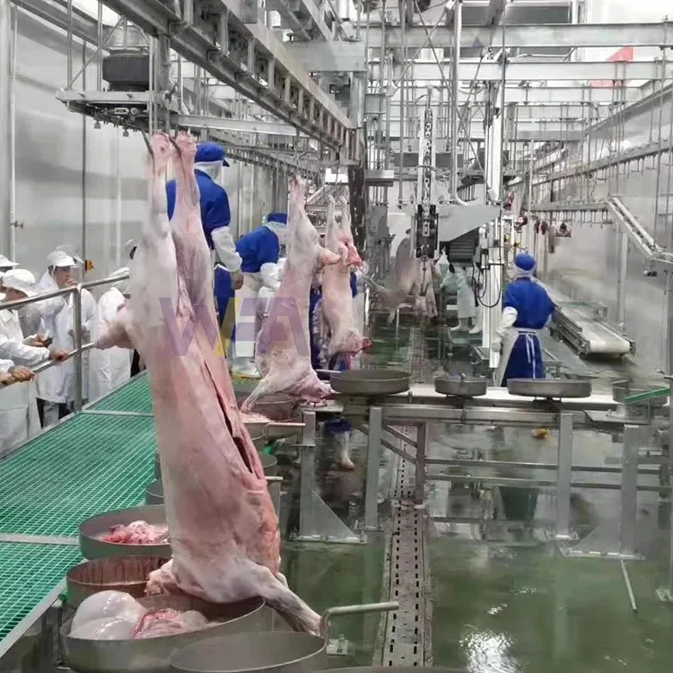 Equipamento profissional de açougue de cabras e cordeiros para máquinas de processamento de carne de ovelha