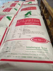 Aditif lisin yang terjangkau dapat mendorong pertumbuhan sehat pada unggas - Product Image 5