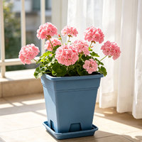 Pot Bunga Plastik Modern untuk Kebun, Lubang Drainase Indoor/Outdoor, Pot Bunga Tahan Lama, Tanaman Indoor Grosir Murah