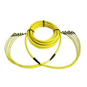FiberVision MPO/MPT Singlemode SM 12/24 Core Fiber Patch Cord Optic Trunk Cable