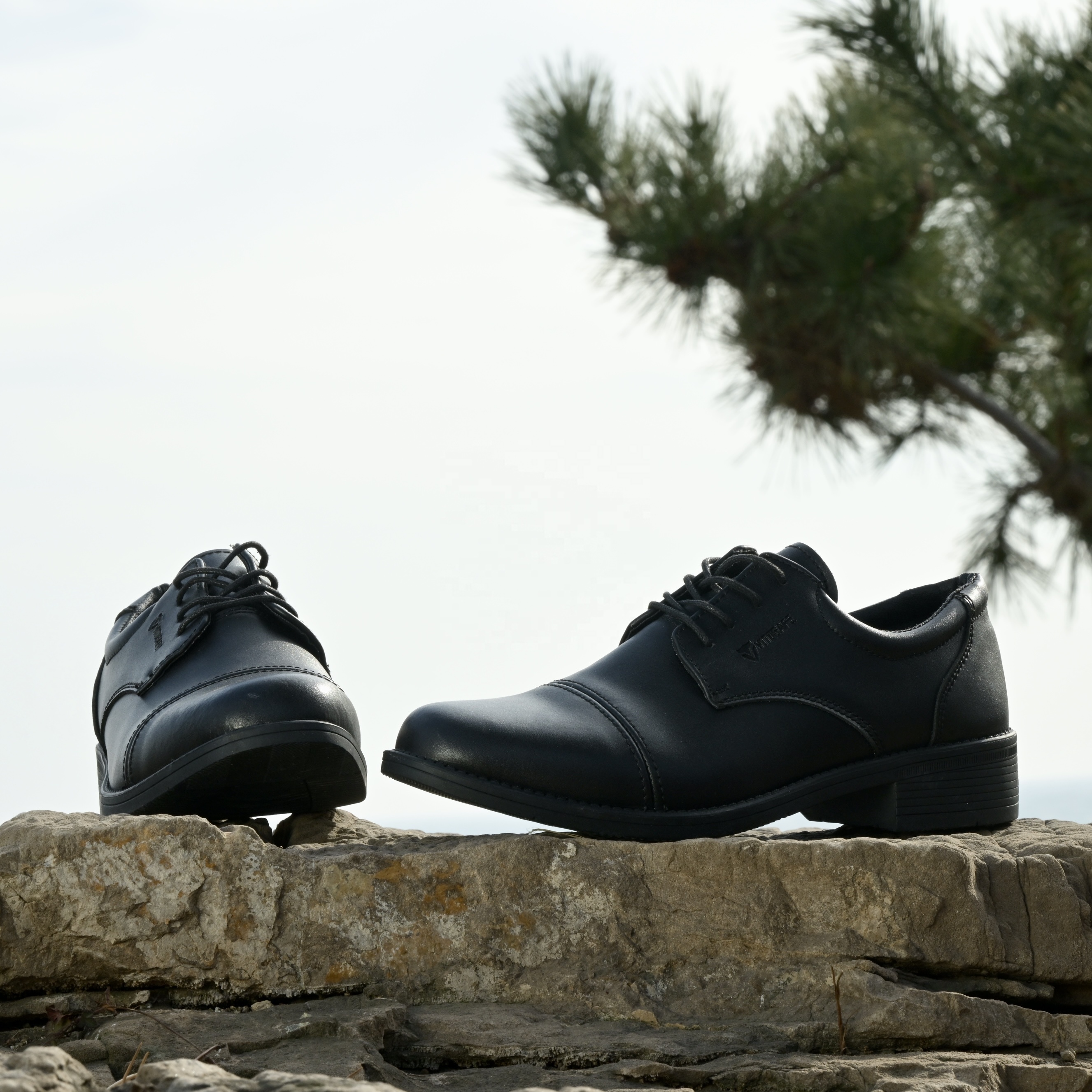 black hammer shoes price
