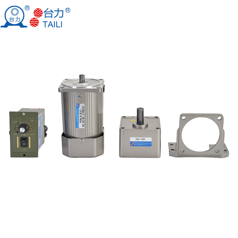 Taili AC Gear Motor 6W 2