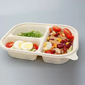 Biodegradable Polycarbonate Compartment Food Packaging Container Cornstarch Lunch Box Blister 400pcs/ctn Corn Starch 1~7 Days