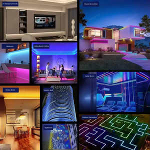 Tira de Luz LED de Neón Flexible de Silicona de 12V 24V, Impermeable, para Interiores y Exteriores, Decoración del Hogar - Product Image 6