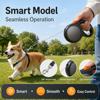 Laisse Rétractable Automatique pour Chien en Nylon, PP, ABS, Réfléchissante Nocturne, Haute Ténacité 150kg, pour Promenade et Entraînement en Extérieur (Dropshipping)