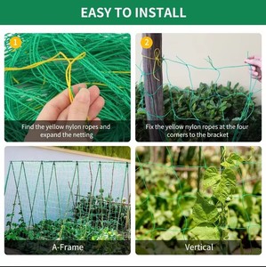 Plant Trellis Pergolas, Heavy-Duty Polyester Grow <b>Net</b>, Garden Trellis <b>Netting</b> With Square <b>Mesh</b> for Climbing Plants, Vegetables, - Product Image 2