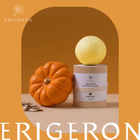 ERIGERON Bola de Belleza Vegana Todo en Uno - Champú OEM para la Caída del Cabello con Polvo de Calabaza, Fórmula Sólida para Uso Unisex