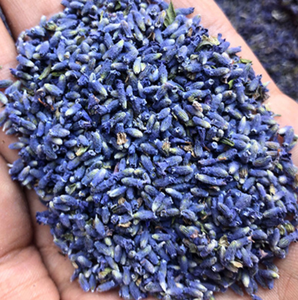 <strong>BUY</strong> Lavender Flower Tea Buds From Lavandula Angustifolia for Raw Tea - Product Image 5