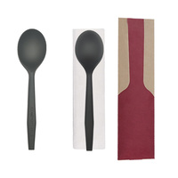 Cuillères hygiéniques, durables et compostables, vaisselle, couverts en matériau CPLA, résistantes à la chaleur pour la restauration de plats chauds