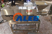 Granulateur d'extrusion automatique de poudre sèche, extrudeuse de paillettes colorées pour la décoration de gâteaux et de beignets
