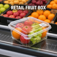 Boîte à fruits en PET en gros, 500g, transparente, pour supermarché, emballage de fruits frais avec couvercle, jetable, qualité alimentaire, sûre