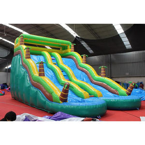 Tobogán Acuático Inflable Gigante Personalizado con Forma de Palmera Curva para Adultos, Tobogán Acuático Inflable de Doble Carril con Piscina - Product Image 1