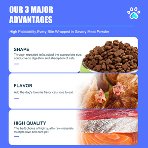 Cibo per cani personalizzato OEM/ODM Premium-alta appetibilità 25% opzioni Multi-sapore e forma di Formula senza crocchette secche proteiche - Product Image 3