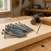 Clous en bois courants à tête plate et pointe effilée, plusieurs options de taille, distributeur de quincaillerie, prix compétitif OEM