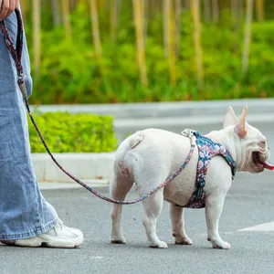 Truelove fabrika tedarikçisi özel yansıtıcı ayarlanabilir sevimli köpek yelek ve koşum zor parkurları tasarımcı köpek koşum seti