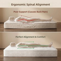 Matelas de luxe Hilton cinq étoiles pour la maison, avec ressorts ensachés et surmatelas en latex, soutien lombaire et dorsal, confort moyen-ferme pour chambre à coucher
