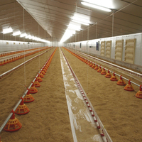 Poulailler automatique à grande échelle pour 10000 poulets Poulailler ferme fermée