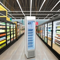 Réfrigérateur et congélateur de supermarché industriel à température unique améliorés avec refroidissement par air au meilleur prix