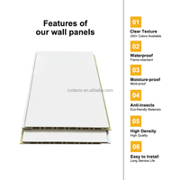 Panel de Techo WPC de Foshan, Panel de Techo Interior de PVC, Diseños Modernos de Techo para Tienda, Oficina, Dormitorio