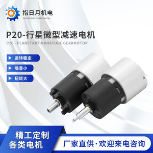 Moteur à engrenages planétaires Zhiriyue 20 mm, modèle 310, rapport de transmission 19 pour boîte de vitesses de fer à friser - Product Image 5