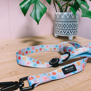 Fabricante al por mayor de lujo elegante cómodo suave poliéster moderno impreso perro arnés duradero acolchado perro Correa conjunto - Product Image 4