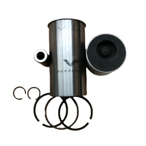 E049303000045/BJ493ZLQ3 Liner kit Euro3 per FOTON - Product Image 1