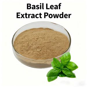 毛髪用バジル粉末10:1水溶性トゥルシーバジルパウダー - Product Image 3