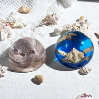 Magnifiques créatures marines : Pieuvre réelle dans une demi-dôme en résine Lucite – Décoration de bureau, spécimens pédagogiques, souvenirs d'aquarium, cadeaux