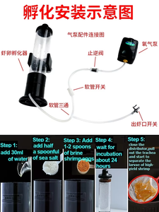 Oeufs de crevettes de saumure incubateur écloserie <span class=keywords><strong>Artemia</strong></span> oeufs écloserie Kit bricolage Aquarium réservoir de poissons outil de trappe pour Aquarium saumure oeufs de crevettes - Product Image 4