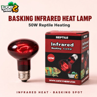 LuckyHerp Lampe chauffante en verre rouge pour reptiles 50W Rétractable Utilisation en intérieur pour reptiles
