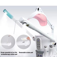 Appareil de soin du visage multifonction 8 en 1 certifié CE, vapeur chaude et froide, nettoyage du visage, soin de la peau, machine Hydraface pour salon et spa