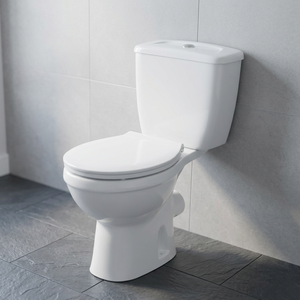 Inodoro de dos piezas de cerámica Vistaar WC Sanitary Ware Africa con sifón en P, montaje en el suelo y descarga por gravedad - Product Image 2