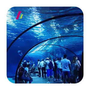 Hoch transparente Acryl-Aquarium-Aquarien direkter Acryl-Aquarium-Tunnel für den Zoo