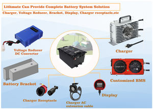 Lithmate大電流250A48vゴルフカート電気自動車バッテリーパック48v100ahリチウム電池 - Product Image 2