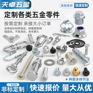 Tianzhuo <b>Hardware</b> Custom Screws Nuts Stainless Steel Zinc Plated Precision Machining Fasteners - Product Image 5