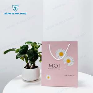 Bolsa de Regalo de Papel Personalizada al por Mayor, Bolsa de Compras Reciclable con Impresión de Logotipo, Fabricante y Proveedor OEM de Vietnam - Product Image 2
