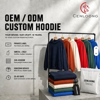 Sweat-shirt à capuche pour homme Cenloong 100% coton 500 g/m², pull à capuche, fournisseur en gros OEM personnalisé