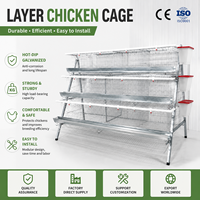 Nouvel équipement de batterie d'élevage de poulets automatique à 3 niveaux pour 72 poules, économique, pour petites et moyennes fermes avicoles
