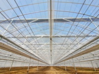 Rumah Kaca Struktur Baja Irigasi Otomatis Desain Modern untuk Produksi Tanaman Hasil Tinggi di Lingkungan Gudang Luar Ruangan