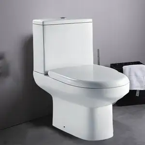 Aangepaste Shauchalay Water Closet Flush Tank Commerciële Toiletten Close Gekoppelde Wasruimte Voor Gehandicapten