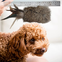 Jouets pour animaux de compagnie en fourrure de lapin véritable, bâtonnets à plumes colorés pour chats, jouets d'entraînement pour chiens, fournitures de jeu, produits pour animaux de compagnie – Approvisionnement direct usine