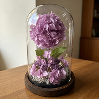 Bunga Hydrangea Awet Shangchu dalam Kubah Kaca - Ornamen Bunga Abadi Bergaya INS yang Elegan, Hadiah Kreatif Mewah untuk Rumah/Meja