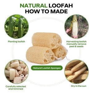 Natural <b>Loofah</b> Slices for Soap Making, Organic Luffa Cuts for DIY Exfoliating Soaps, Homemade Handmade Loofa Soap - Product Image 4