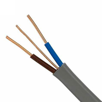 Câble électrique industriel plat en cuivre isolé et gainé en PVC à 2 conducteurs, 2,5 mm², 300/500 V, basse tension