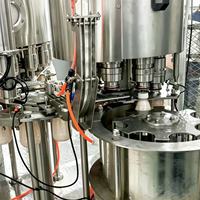 Máquina de llenado y tapado de líquidos y gránulos Rinser para líneas de embotellado PET de pulpa de frutas, zumos, nata de coco, yogur y bebidas con partículas.