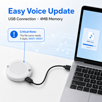 Lecteur de musique à commande vocale 2W pour voitures avec fonction sonore personnalisée, interface d'alimentation USB 5-35V
