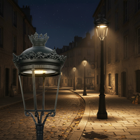 Applique murale LED décorative en aluminium IP66 AC, style palais de luxe, pour éclairage extérieur urbain et résidentiel