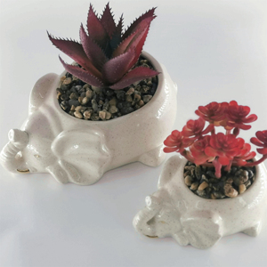 Venta al por mayor 3D único <span class=keywords><strong>gatito</strong></span> elefante flor suculenta <span class=keywords><strong>maceta</strong></span> encantadora Instagram cerámica arcilla cerámica <span class=keywords><strong>maceta</strong></span> gran oferta macetas <span class=keywords><strong>maceta</strong></span> - Product Image 6
