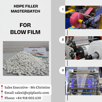 Nouvelle Offre 2025 : Masterbatch PP de Haute Qualité avec 70-80% de Remplissage CaCO3 pour Film Soufflé Blanc, Certifié ISO9001, CPI MFI 2-50, Sac de 25kg